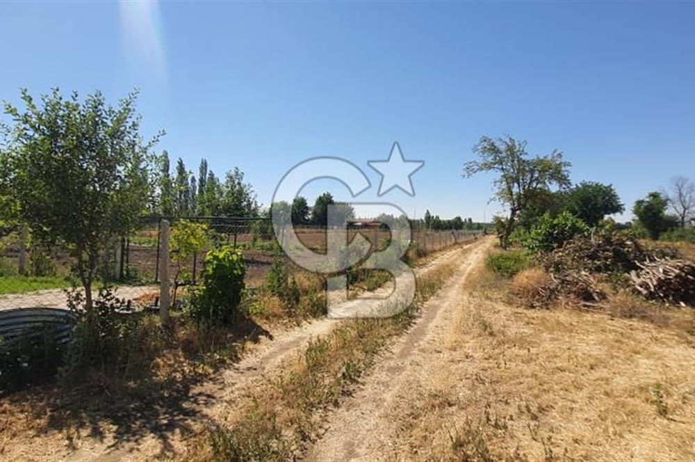  CB CITY'DEN ESKİŞEHİR GAZİPAŞA'DA SATILIK TARLA VE BAĞ EVİ 