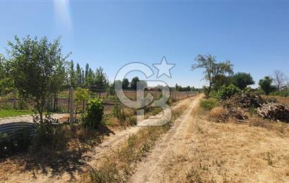  CB CITY'DEN ESKİŞEHİR GAZİPAŞA'DA SATILIK TARLA VE BAĞ EVİ 