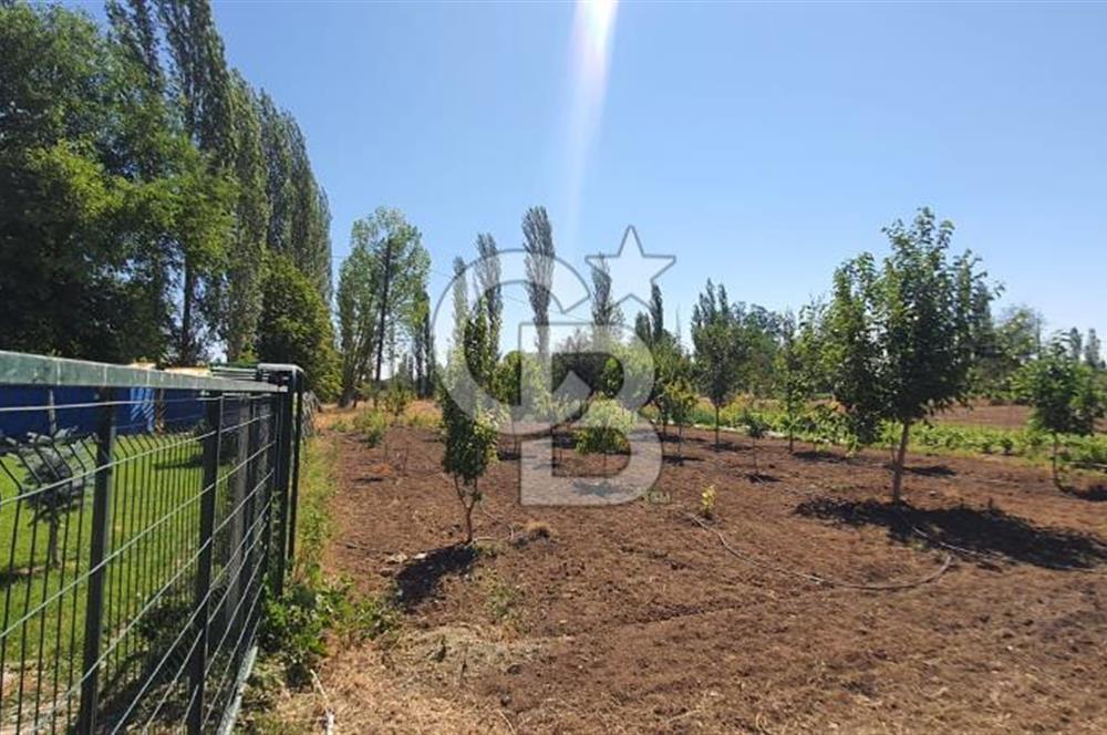  CB CITY'DEN ESKİŞEHİR GAZİPAŞA'DA SATILIK TARLA VE BAĞ EVİ 