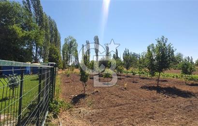  CB CITY'DEN ESKİŞEHİR GAZİPAŞA'DA SATILIK TARLA VE BAĞ EVİ 
