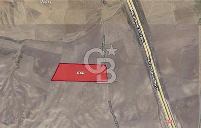 ANKARA BALA SOFULAR DA 53.365,82 m2 SATILIK TARLA