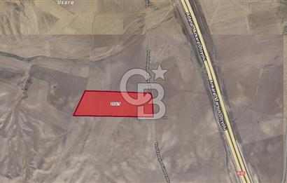 ANKARA BALA SOFULAR DA 53.365,82 m2 SATILIK TARLA