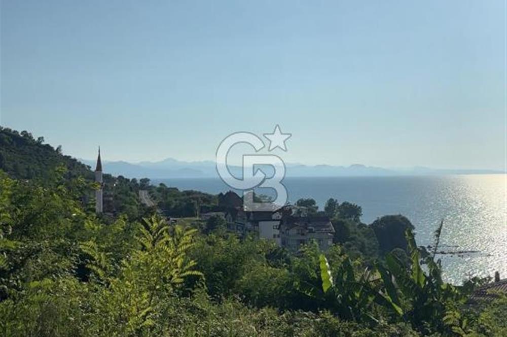 ORDU PERŞEMBE ÇAYTEPEDE PANORAMİK DENİZ MANZARALI ARSA 