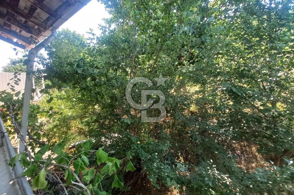 CB ELEGANCE 'DEN SATILIK 3 KATLI MÜSTAKİL EV
