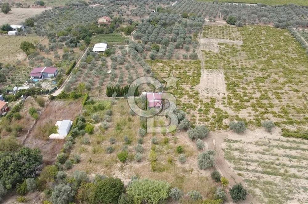 İZMİR KEMALPAŞA AŞAĞI KIZILCA MEVKİİNDE – 3.900 m² MÜSTAKİL TAPULU SATILIK BAĞ NİTELİKLİ ARSA!