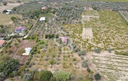 İZMİR KEMALPAŞA AŞAĞI KIZILCA MEVKİİNDE – 3.900 m² MÜSTAKİL TAPULU SATILIK BAĞ NİTELİKLİ ARSA!