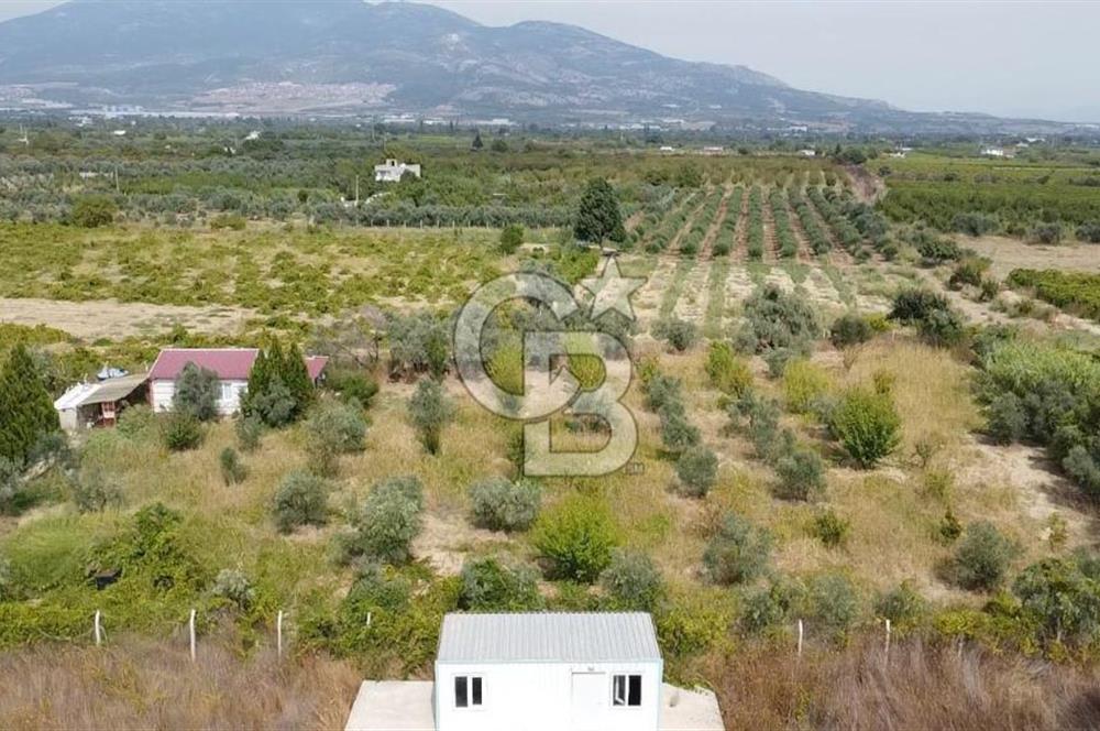 İZMİR KEMALPAŞA AŞAĞI KIZILCA MEVKİİNDE – 3.900 m² MÜSTAKİL TAPULU SATILIK BAĞ NİTELİKLİ ARSA!