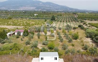 İZMİR KEMALPAŞA AŞAĞI KIZILCA MEVKİİNDE – 3.900 m² MÜSTAKİL TAPULU SATILIK BAĞ NİTELİKLİ ARSA!