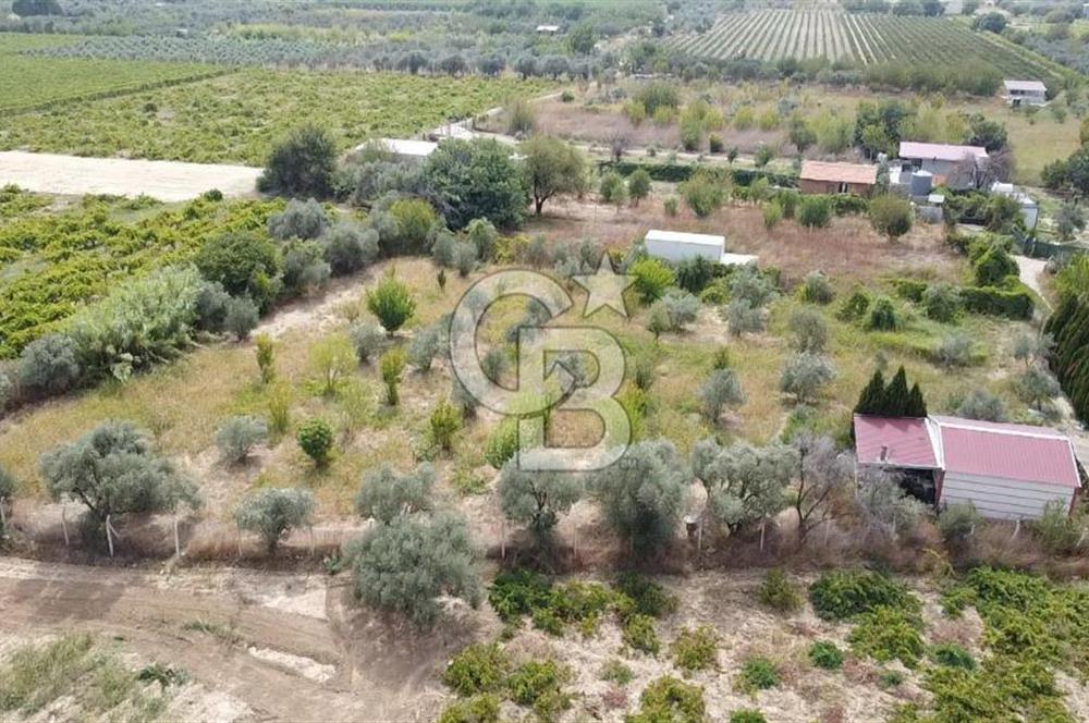 İZMİR KEMALPAŞA AŞAĞI KIZILCA MEVKİİNDE – 3.900 m² MÜSTAKİL TAPULU SATILIK BAĞ NİTELİKLİ ARSA!