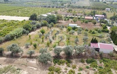 İZMİR KEMALPAŞA AŞAĞI KIZILCA MEVKİİNDE – 3.900 m² MÜSTAKİL TAPULU SATILIK BAĞ NİTELİKLİ ARSA!