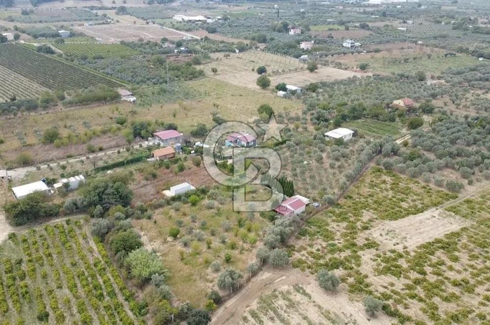 İZMİR KEMALPAŞA AŞAĞI KIZILCA MEVKİİNDE – 3.900 m² MÜSTAKİL TAPULU SATILIK BAĞ NİTELİKLİ ARSA!
