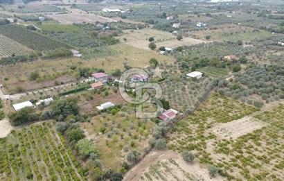 İZMİR KEMALPAŞA AŞAĞI KIZILCA MEVKİİNDE – 3.900 m² MÜSTAKİL TAPULU SATILIK BAĞ NİTELİKLİ ARSA!