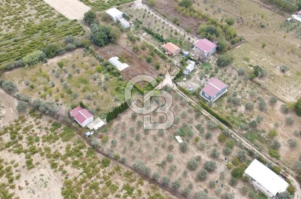 İZMİR KEMALPAŞA AŞAĞI KIZILCA MEVKİİNDE – 3.900 m² MÜSTAKİL TAPULU SATILIK BAĞ NİTELİKLİ ARSA!