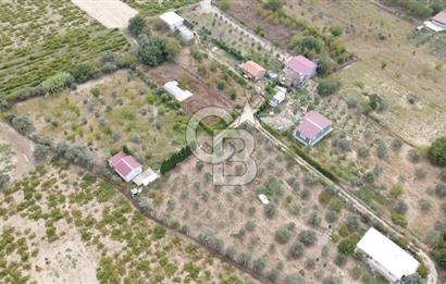 İZMİR KEMALPAŞA AŞAĞI KIZILCA MEVKİİNDE – 3.900 m² MÜSTAKİL TAPULU SATILIK BAĞ NİTELİKLİ ARSA!