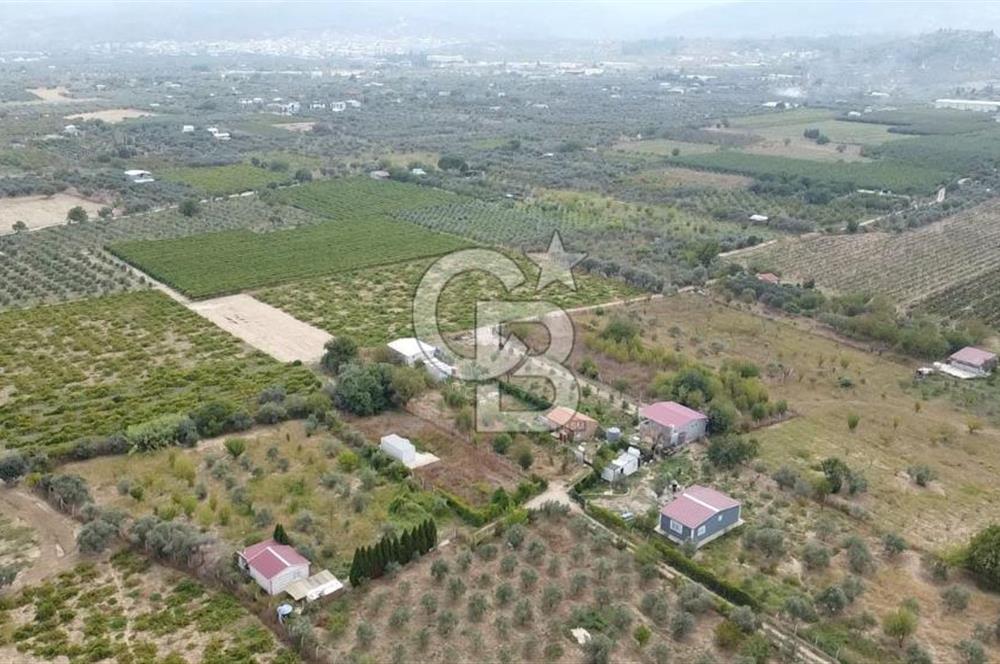 İZMİR KEMALPAŞA AŞAĞI KIZILCA MEVKİİNDE – 3.900 m² MÜSTAKİL TAPULU SATILIK BAĞ NİTELİKLİ ARSA!