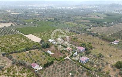 İZMİR KEMALPAŞA AŞAĞI KIZILCA MEVKİİNDE – 3.900 m² MÜSTAKİL TAPULU SATILIK BAĞ NİTELİKLİ ARSA!