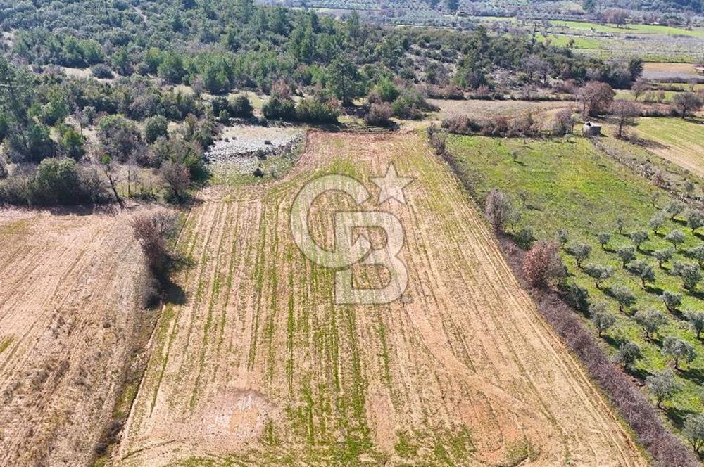 Muğla Yerkesik'te merkeze yakın yatırımlık