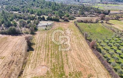 Muğla Yerkesik'te merkeze yakın yatırımlık