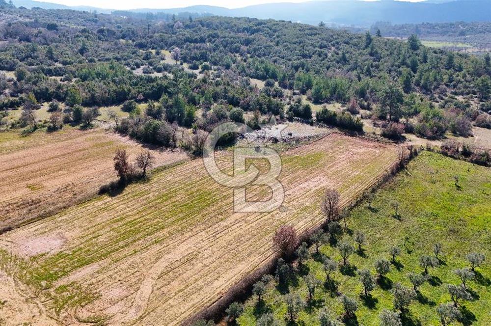 Muğla Yerkesik'te merkeze yakın yatırımlık