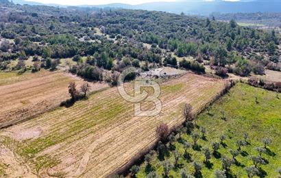 Muğla Yerkesik'te merkeze yakın yatırımlık