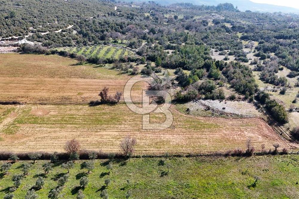 Muğla Yerkesik'te merkeze yakın yatırımlık
