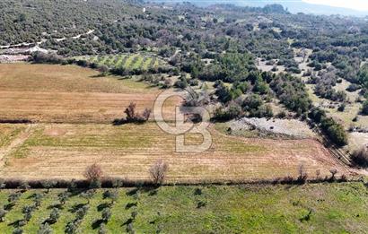 Muğla Yerkesik'te merkeze yakın yatırımlık