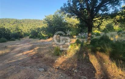 Muğla İli Menteşe İlçesi Kuyucak Mahallesi'nde Satılık Tarla