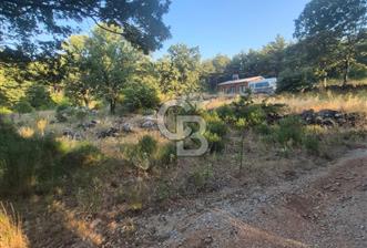Muğla İli Menteşe İlçesi Kuyucak Mahallesi'nde Satılık Tarla