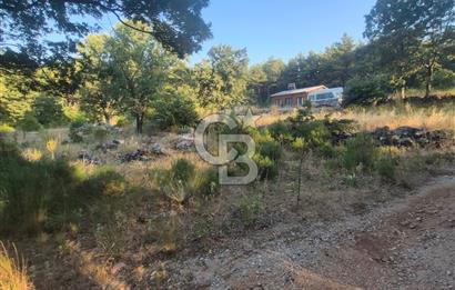 Muğla İli Menteşe İlçesi Kuyucak Mahallesi'nde Satılık Tarla