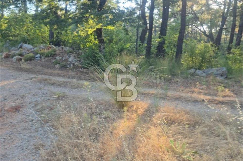 Muğla İli Menteşe İlçesi Kuyucak Mahallesi'nde Satılık Tarla
