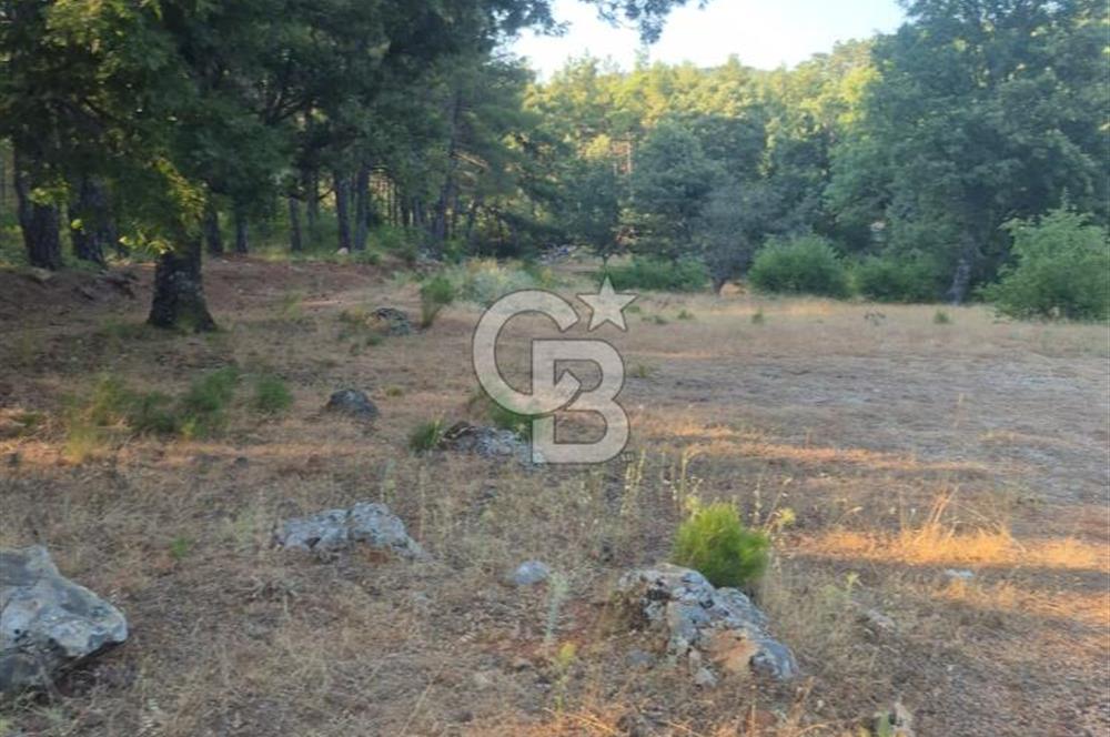 Muğla İli Menteşe İlçesi Kuyucak Mahallesi'nde Satılık Tarla