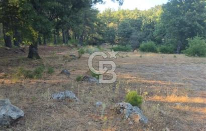 Muğla İli Menteşe İlçesi Kuyucak Mahallesi'nde Satılık Tarla