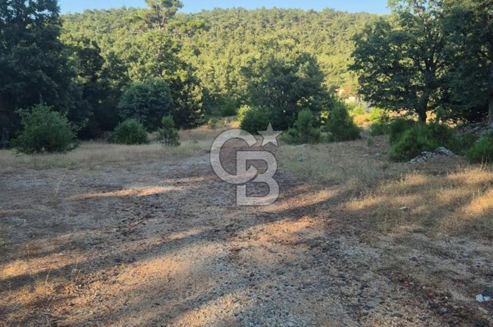 Muğla İli Menteşe İlçesi Kuyucak Mahallesi'nde Satılık Tarla