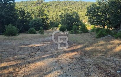 Muğla İli Menteşe İlçesi Kuyucak Mahallesi'nde Satılık Tarla