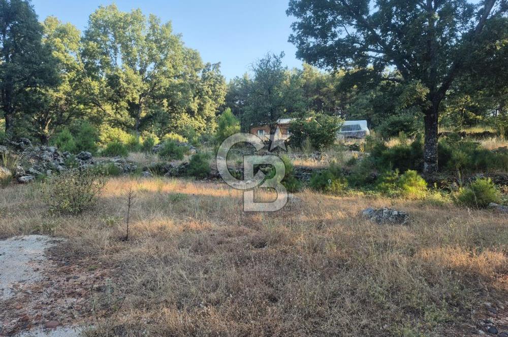 Muğla İli Menteşe İlçesi Kuyucak Mahallesi'nde Satılık Tarla