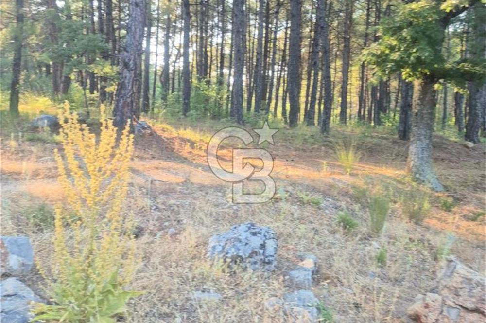 Muğla İli Menteşe İlçesi Kuyucak Mahallesi'nde Satılık Tarla