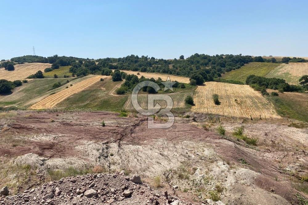 BURSA M.KEMALPAŞA ORGANİZE SAN. BÖL. GENİŞLEME ALANI İÇERİSİNDE FIRSAT ARAZİ