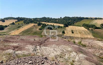 BURSA M.KEMALPAŞA ORGANİZE SAN. BÖL. GENİŞLEME ALANI İÇERİSİNDE FIRSAT ARAZİ
