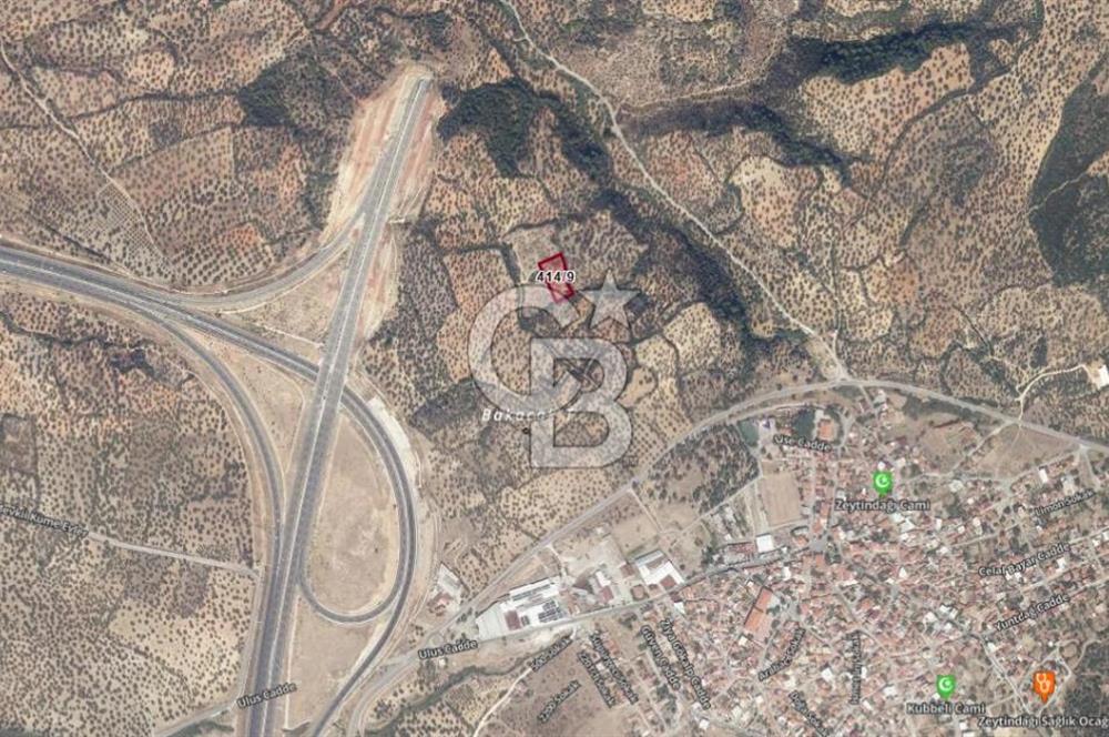 BERGAMA ZEYTİNDAĞ'DA İYİ KONUMDA SATILIK ZEYTİNLİK