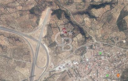 BERGAMA ZEYTİNDAĞ'DA İYİ KONUMDA SATILIK ZEYTİNLİK