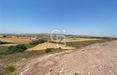 BURSA M.KEMALPAŞA ORGANİZE SAN. BÖL. GENİŞLEME ALANI İÇERİSİNDE FIRSAT ARAZİ