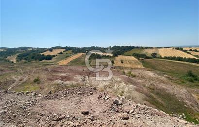BURSA M.KEMALPAŞA ORGANİZE SAN. BÖL. GENİŞLEME ALANI İÇERİSİNDE FIRSAT ARAZİ