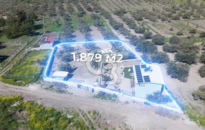 Aliağa Helvacı Satılık Arazi.