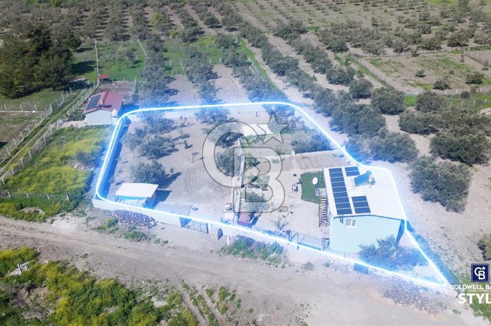 Aliağa Helvacı Satılık Arazi.