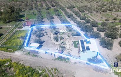 Aliağa Helvacı Satılık Arazi.