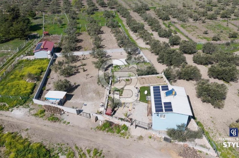 Aliağa Helvacı Satılık Arazi.