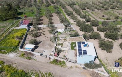 Aliağa Helvacı Satılık Arazi.