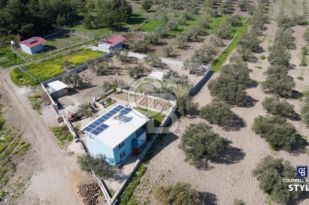 Aliağa Helvacı Satılık Arazi.