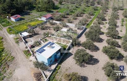 Aliağa Helvacı Satılık Arazi.