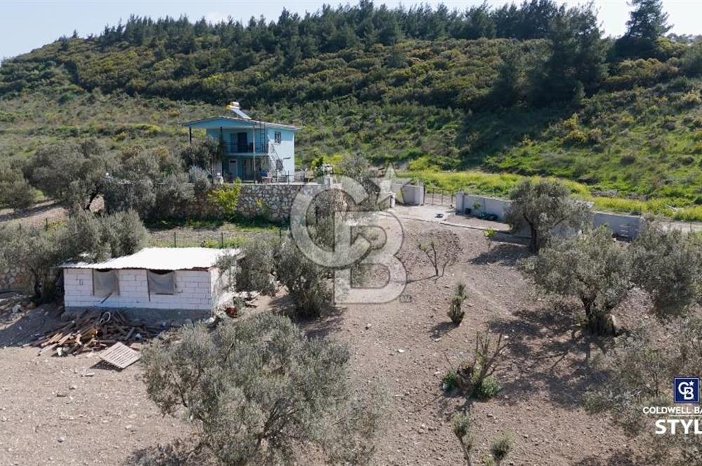 Aliağa Helvacı Satılık Arazi.